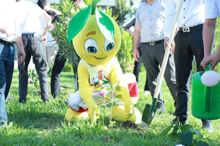 “I Regional Gənclər Festivalı”